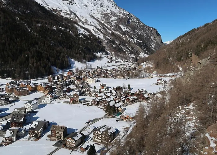 Silberdistel By Interhome